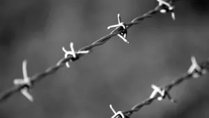 Új korszak az EU külső határain – életbe lépett a Belépés/Kilépés Rendszer