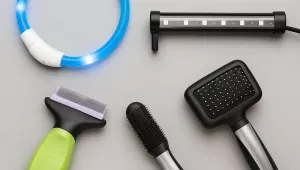 Felrobbanhatnak, áramütést okozhatnak – mind a 20 állatfelszerelés megbukott az NKFH vizsgálatán