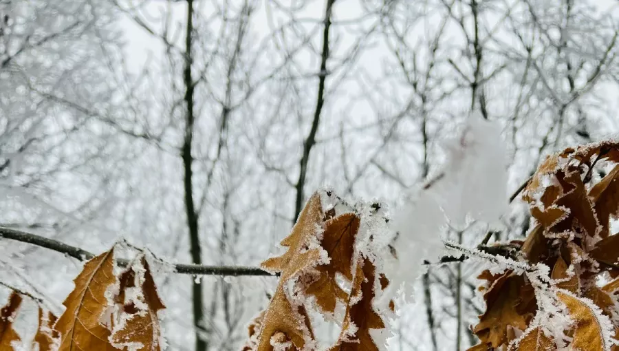 Zivataros téli közlekedés – országszerte fennakadások a havazás miatt