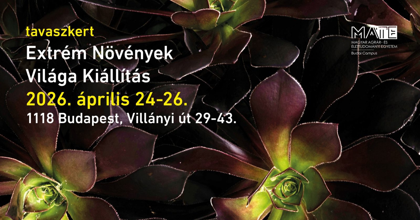 Extrém növények világa kiállítás