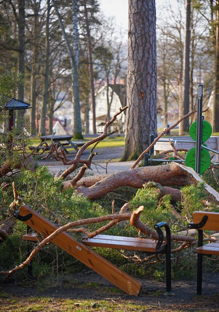 Megjött a vihar: Érden iskola tetejét bontotta meg a szél Megjött a vihar: Érden iskola tetejét bontotta meg a szél