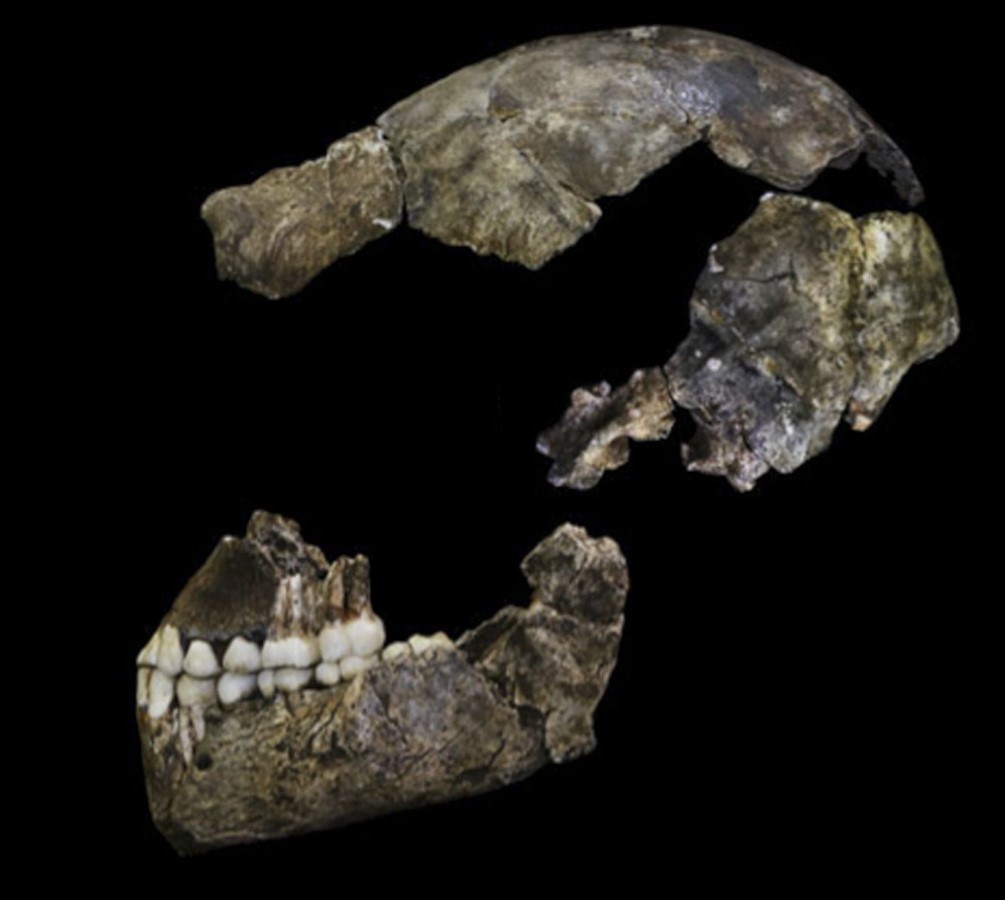 Húsz Homo naledi, egyetlen férfi marker nélkül – különös titkot őriz egy dél-afrikai barlang Húsz Homo naledi, egyetlen férfi marker nélkül – különös titkot őriz egy dél-afrikai barlang
