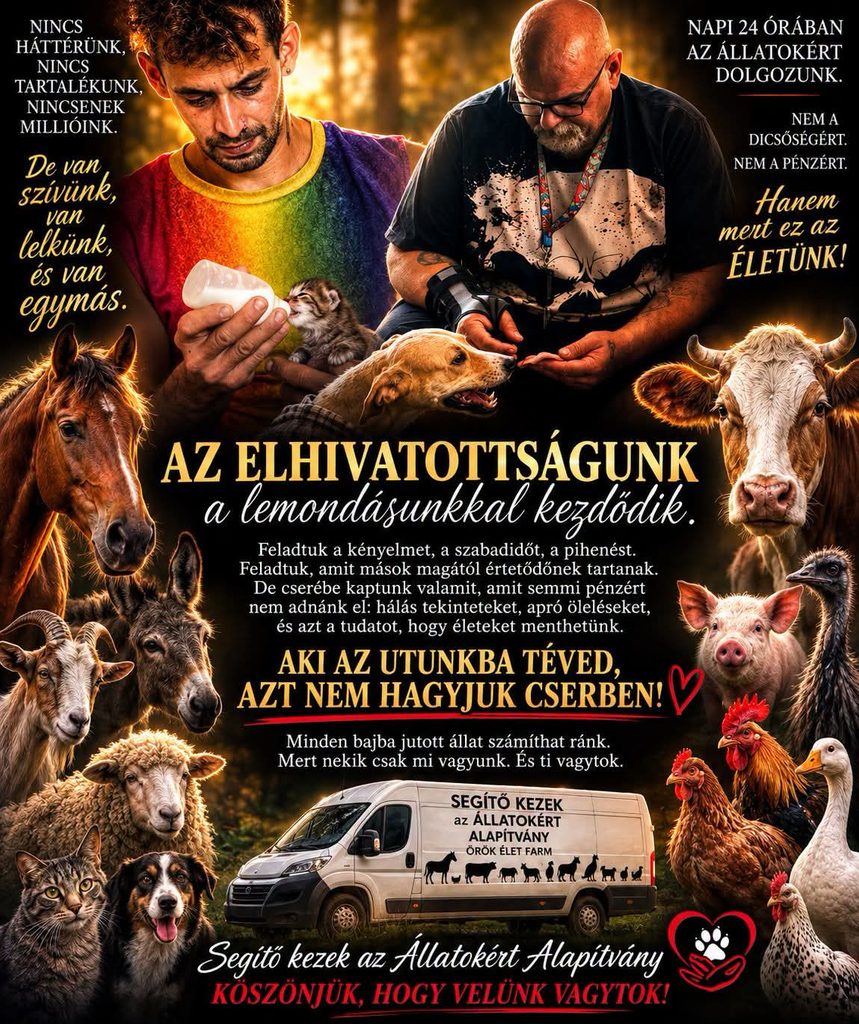 Három vak ló biztonságos otthonáért küzdenek – új területet szeretne vásárolni az Örök Élet Farm Három vak ló biztonságos otthonáért küzdenek – új területet szeretne vásárolni az Örök Élet Farm